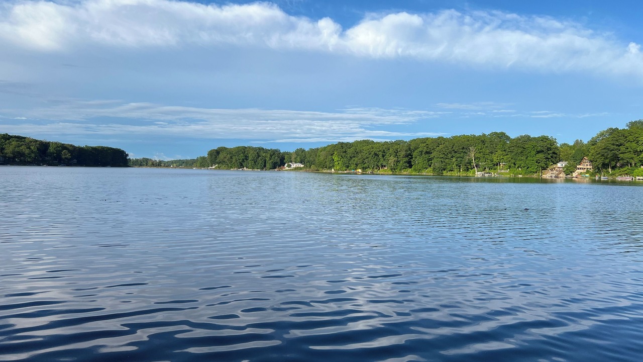 Photo of Outdoor in Delton