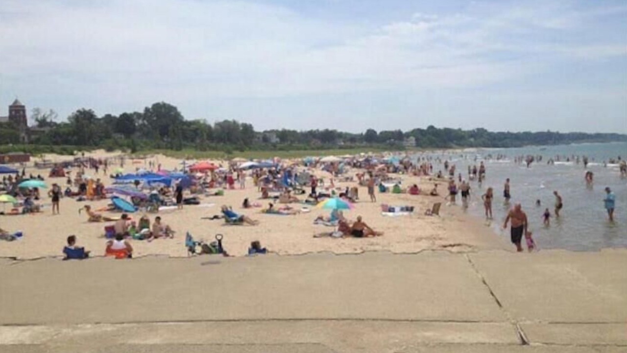 Photo of Others in South Haven