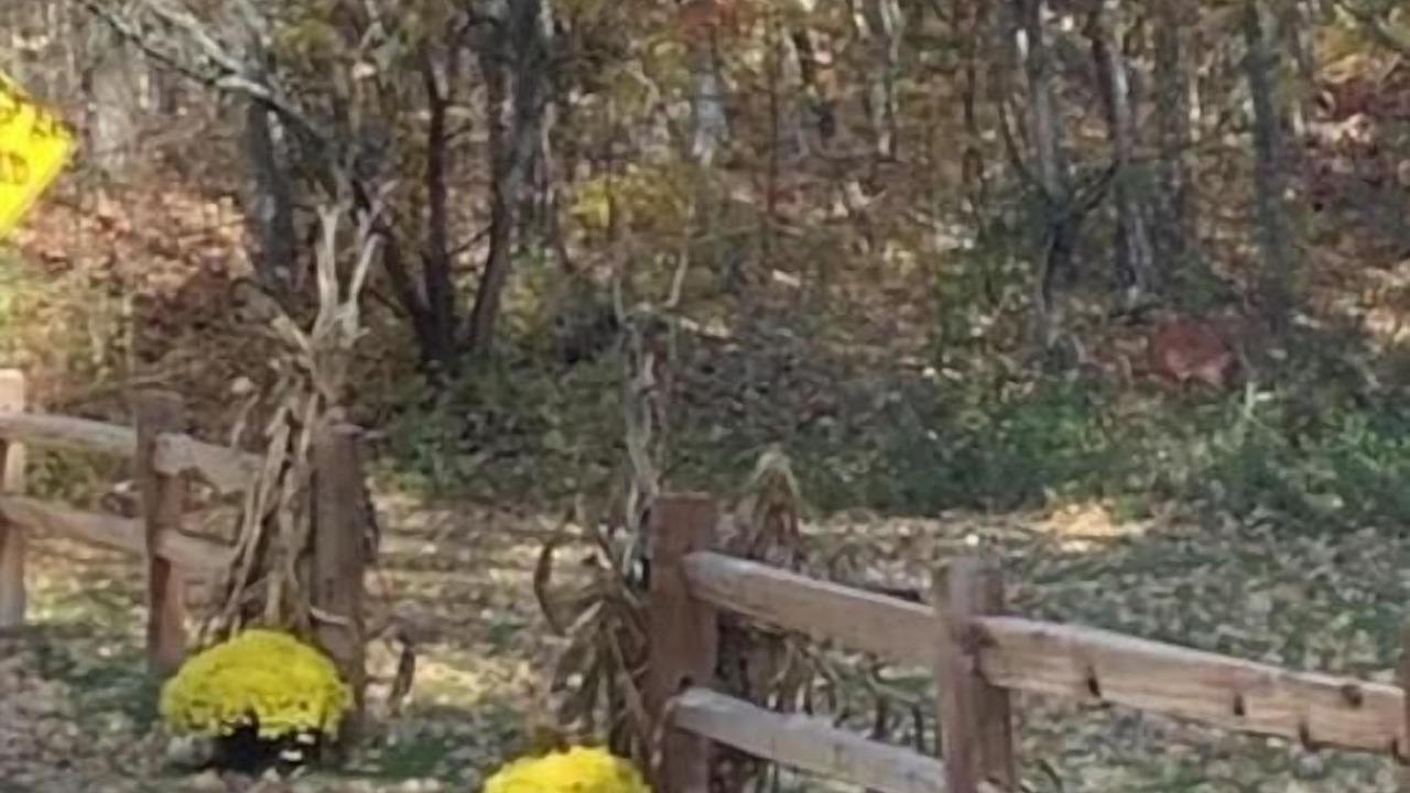 Photo of Others in Three Oaks
