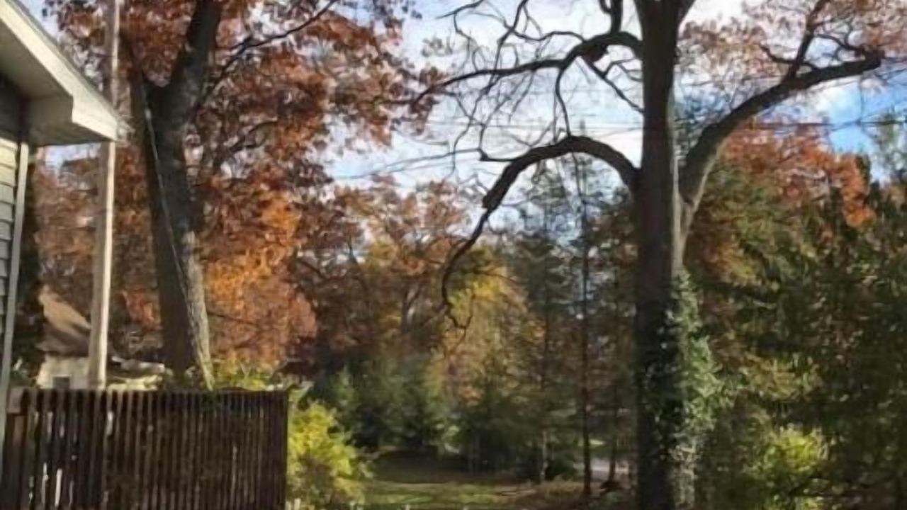 Photo of Outdoor in Spring Lake