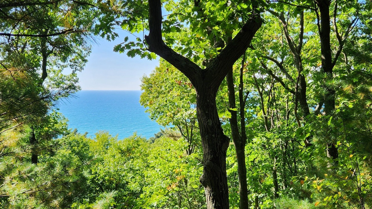 Photo of Outdoor in Shelby