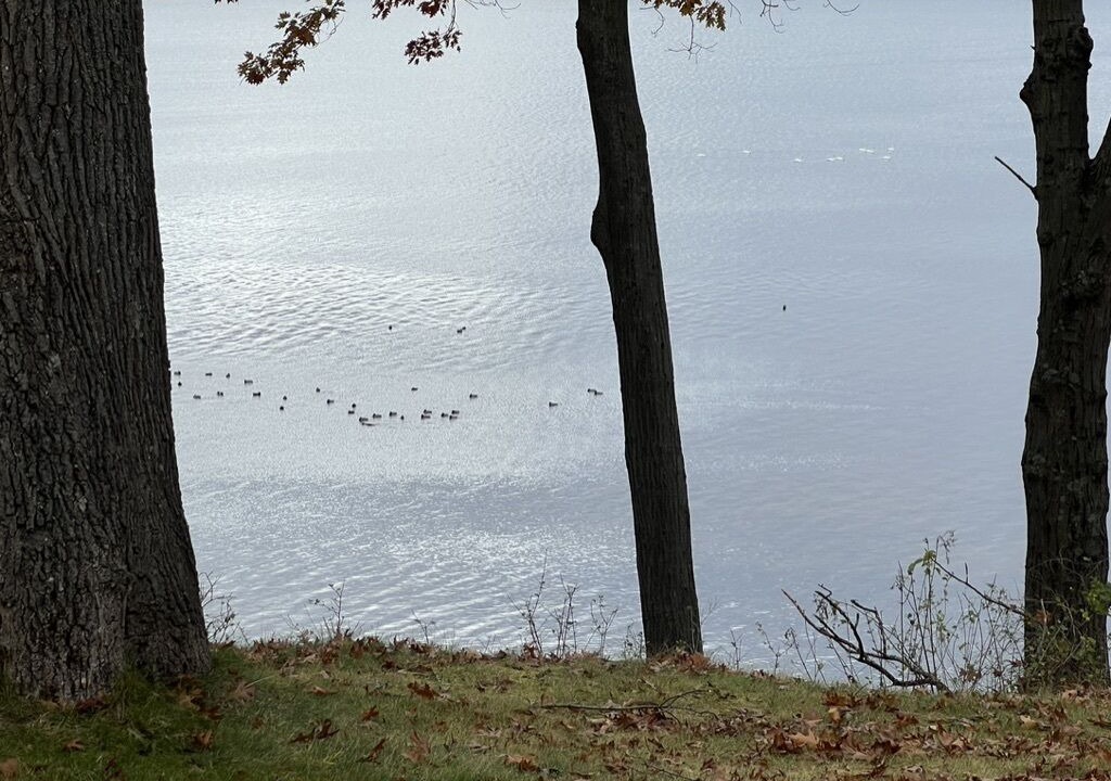 Photo of Others in Montague