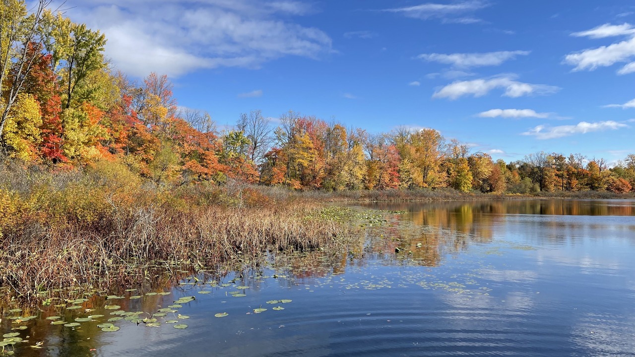 Photo of Outdoor in Lawrence