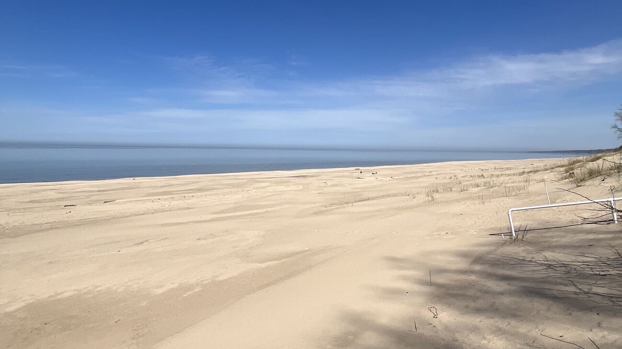 Photo of Others in South Haven