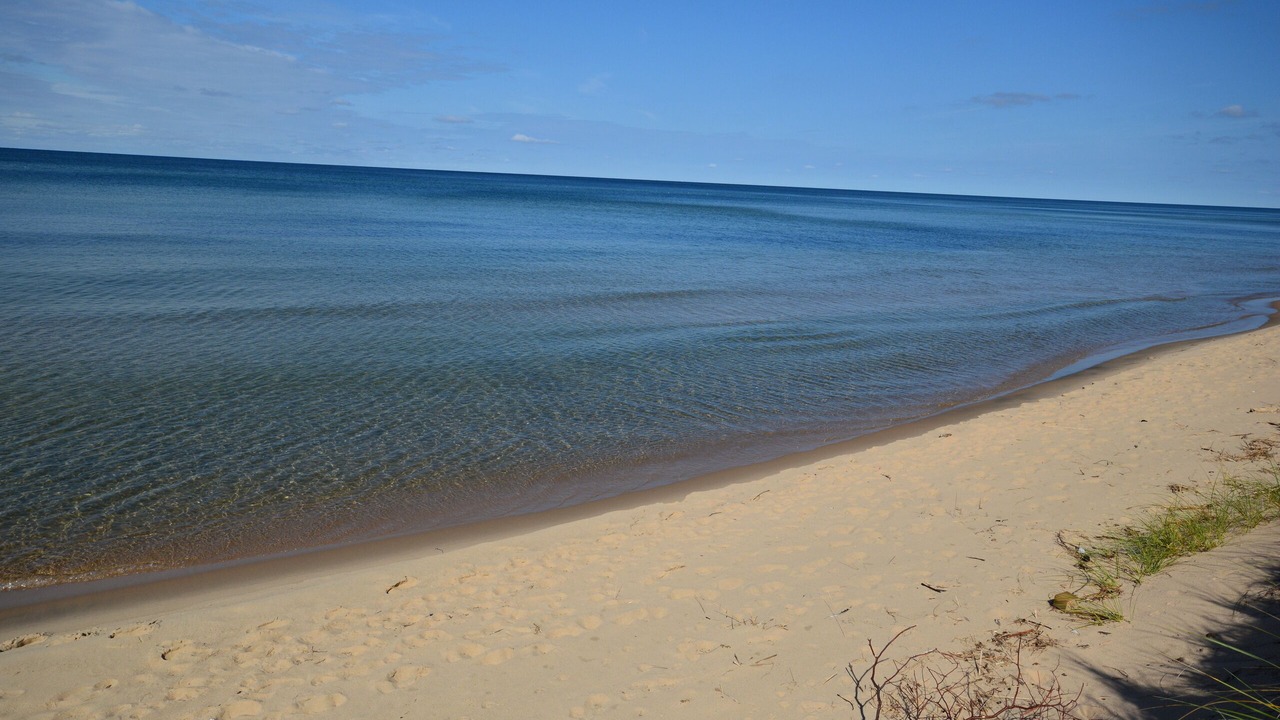 Photo of Others in West Olive