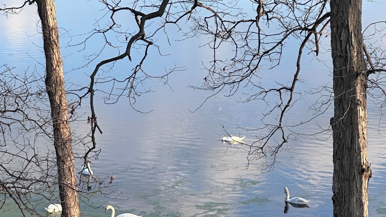 Photo of Others in Warsaw