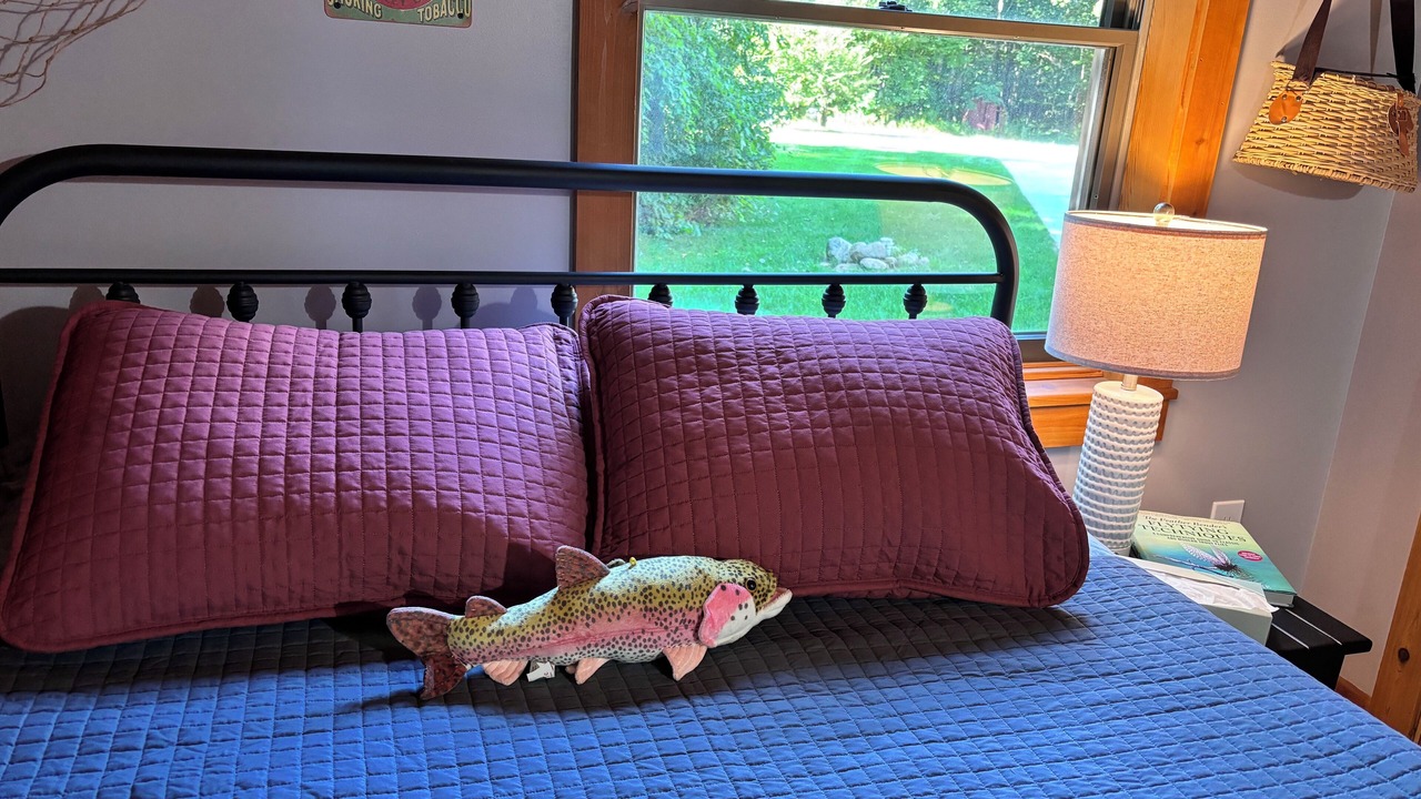 Photo of Bedroom in Newaygo