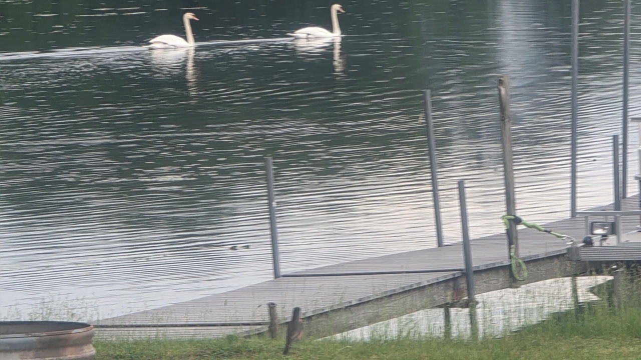 Photo of Others in Newaygo