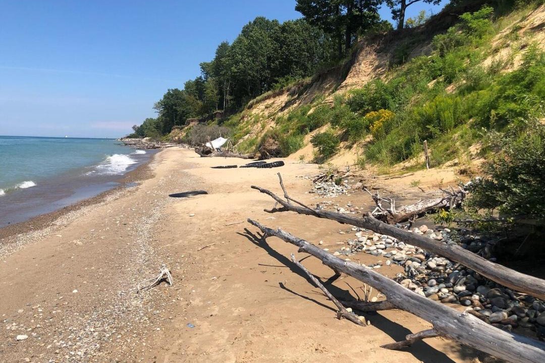 Photo of Others in South Haven