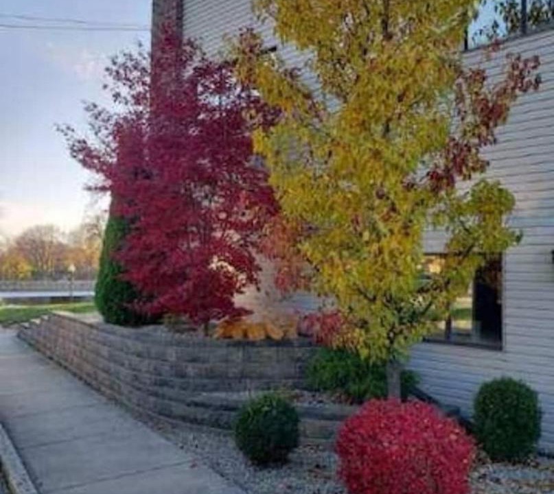 Photo of Others in Niles