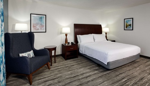 Room, 1 King Bed, Accessible (Hearing)