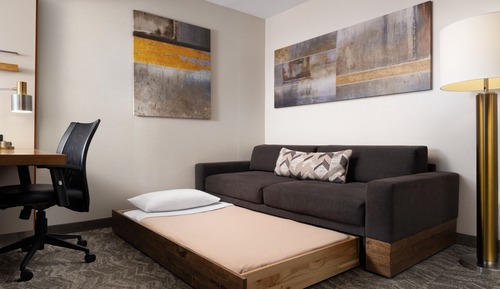 Studio, 1 King Bed with Sofa bed