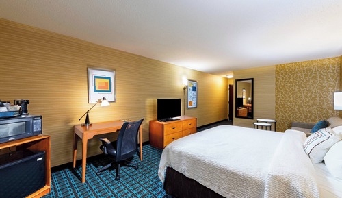 Room, 1 King Bed with Sofa bed