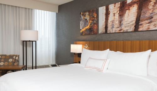 Room, 1 King Bed, Accessible, Non Smoking