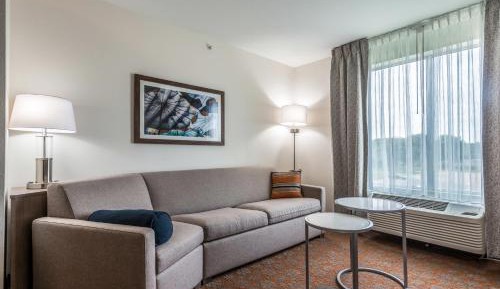 Studio with King Bed and Sofa Bed