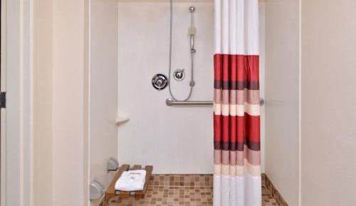 Deluxe King Room Disability Access Roll-In Shower Smoke Free