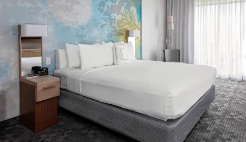 King Suite with Sofa Bed