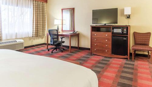 Large King Room with Sofa Bed