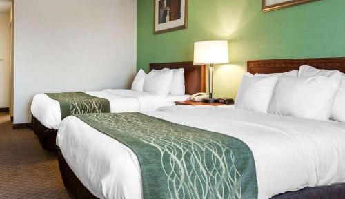 Queen Room with Two Queen Beds - Mobility Accessible/Non-Smoking
