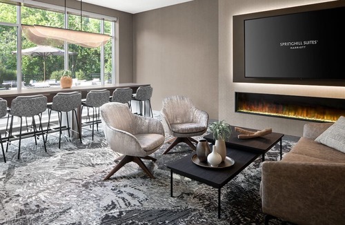 Portage Hotel | Springhill Suites By Marriott Kalamazoo Portage