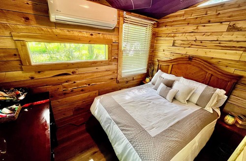 Kent County Cabin | Beautiful cedar treehouse that has wall-to-wall windows, forest and river view!