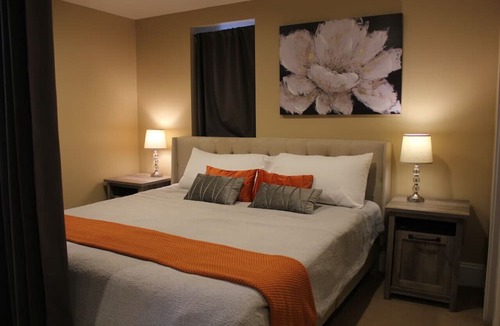 Vine Apartment | 131 Cedar 5 · Luxury Studio with Full Kitchen in Downtown Kalamazoo