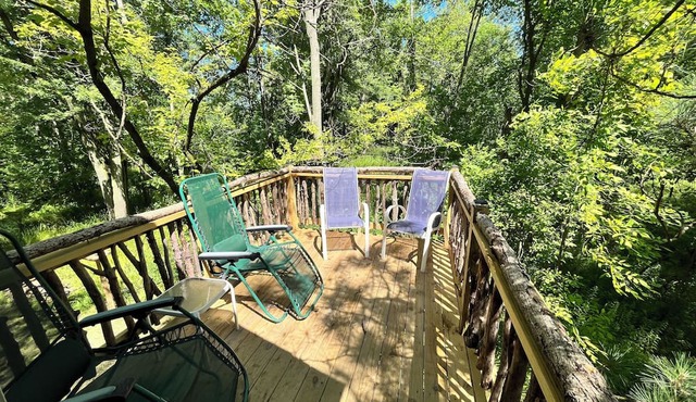 Beautiful cedar treehouse that has wall-to-wall windows, forest and river view!