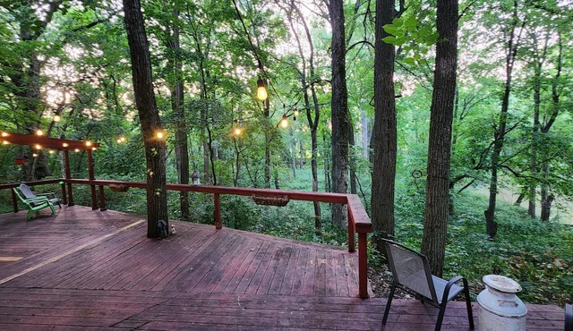 Morchella Hideaway