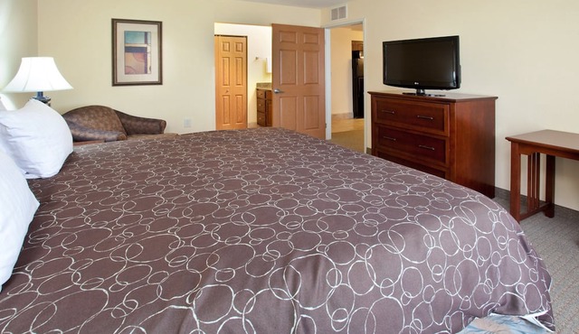 Fully-Equipped Suite |Pool + Wi-Fi