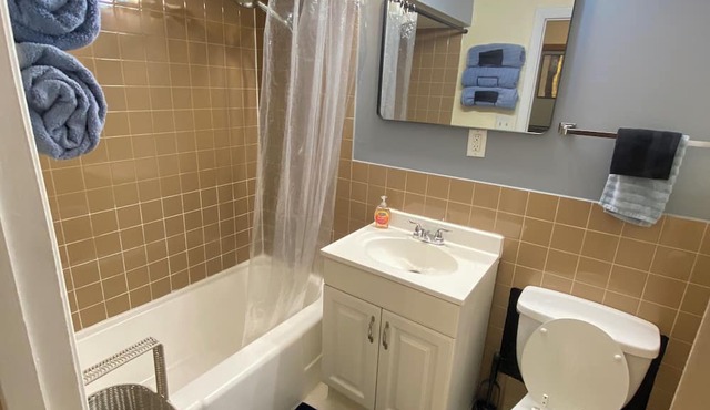 1-bedroom apartment in charming Chicago with AC and free street parking