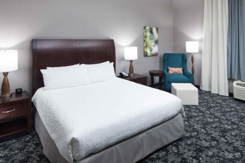 Hilton Garden Inn Detroit/Novi
